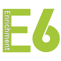E6 Logo