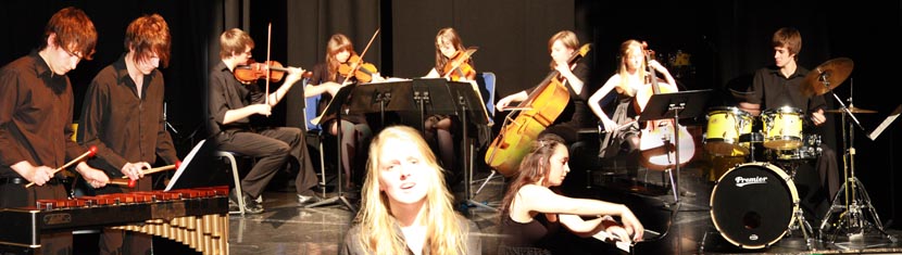 Music scholars montage